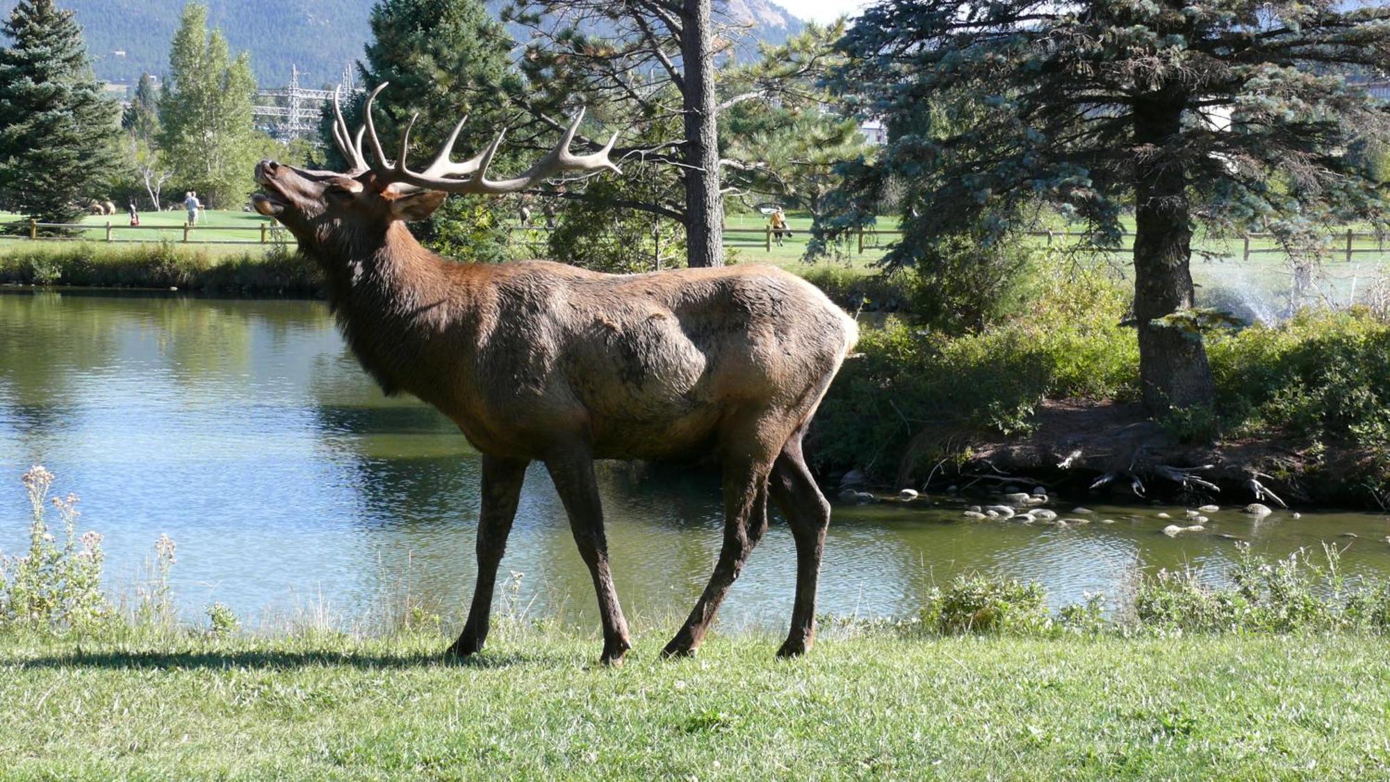 Discovery Lodge Estes Park